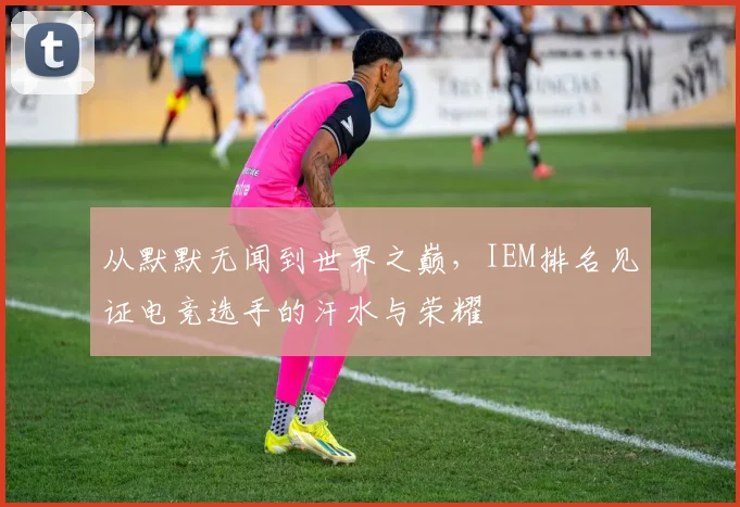 从默默无闻到世界之巅，IEM排名见证电竞选手的汗水与荣耀